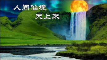 小猫钓鱼游戏龙王版有船