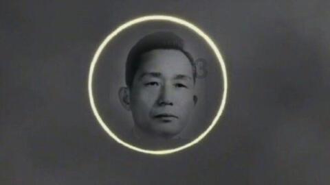 蓝狐视频