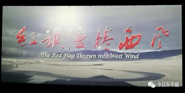 全民剧本大师内置菜单