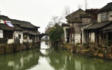 动物帮帮忙保卫家园